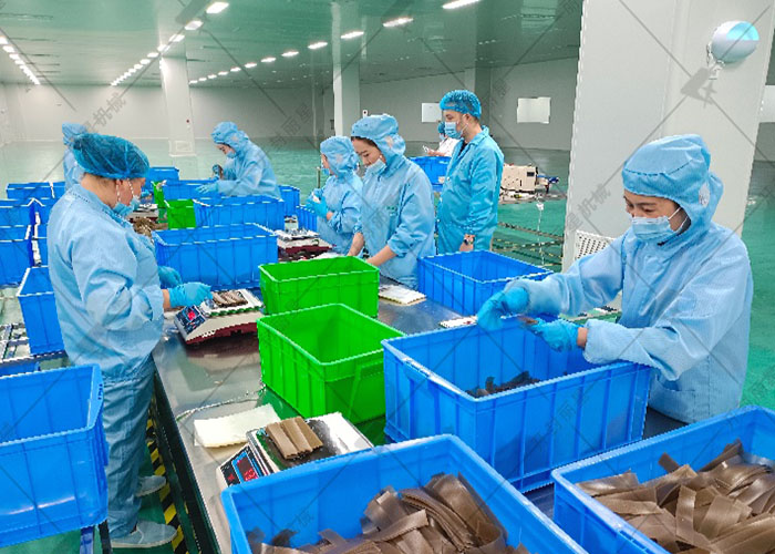 從紅薯到網(wǎng)紅苕皮小吃：麗星全流程生產(chǎn)線的工藝解析